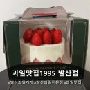 트라이가양 | 과일가게에서 직접 파는 생딸기 케익 맛은 어떨까? 과일맛집1995 발산점 예약없이 구매한 후기