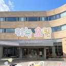 카페맹글 | 경주 키녹(KiNOCK) 내돈내산 후기::애견동반 호텔, 디럭스A 🐶