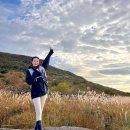 가을 여자 등산 바람막이 무등산 억새 등산 후기 (feat. 쉘코퍼레이션 3L 엔젤 워리프루프 자켓)