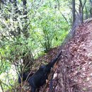 솔미농장 이미지