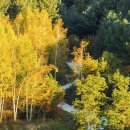 자작바위 이미지