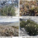 지구온난화, 북극의 땅과 바다가 동시에 요동친다 이미지