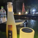 산당화가피는집