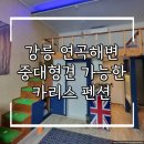 카리스펜션 | [강릉 애견펜션] 연곡해변 중대형견 가능한 "카리스펜션" 이용후기