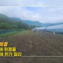 순봉홍두깨손칼국수 이미지