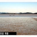 보광농장 이미지