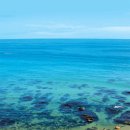 파라다이스 이미지