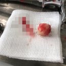 뉴연세보라매치과의원 이미지