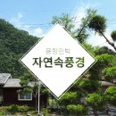 자연속의풍경 이미지