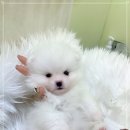 경기도 수원시 권선구 세지로82번길 3 (권선동) 이미지