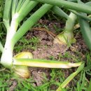 혁이네 농장 이미지