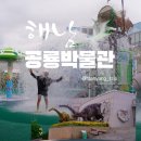 트리케라톱스-2 | 해남공룡박물관 물놀이장, 슬라이드까지! 화석도 꿀잼
