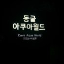광명드라이브 이미지