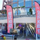 낭만멸치 이미지