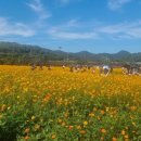 금호강10 이미지