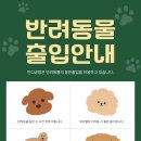 [동구샘터] 모루공예의 모든 것(모루인형, 모루플라워 만들기) | 광주동구)🌸광주데이트 광주공방 광주원데이클래스 추천 – 꽃을 닮은 플라워캔들 반디공방 후기🌸