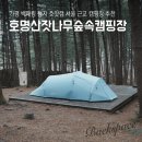 가평 백패킹 성지 호잣캠 서울 근교 캠핑장 추천 호명산잣나무숲속캠핑장