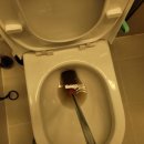 연제구-173 이미지