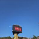 영남축산 | 청도 소싸움 경기장에서 소싸움경기 현장직관 한 후기