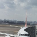 천지연랜드식당 | 나홀로 제주 2박3일