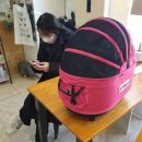 주앤동물병원 이미지