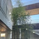 시립미술관(비엔날레주차장) | 전라도 광주 실내데이트 코스 광주시립미술관 전시 관람후기 (ft. 주차장)