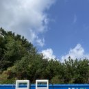 원북농협주유소 이미지