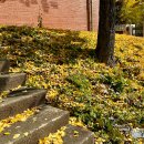 동계고등학교 이미지