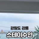 스테이수안 이미지