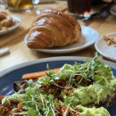 워프게이트 | 샌프란시스코 여행 빵집 투어 타르틴 골든게이트 파크 카페 브런치