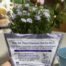 플라워테일 flower tale