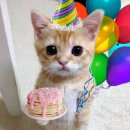 誕生日✌️🎶