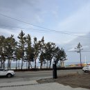 아미카사 이미지