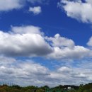 감골도서관 화장실 이미지