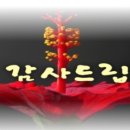 이조장어 이미지