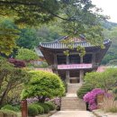 풍기토종인삼시장 | 부모님과 함께 떠난 영주 부석사 여행 &amp; 풍기 인삼시장 방문 후기