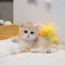 위너동물병원 이미지