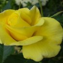 연봉우체국 이미지