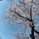 백석대학교 상담대학원 | 심리상담후기/사례, 불안이 극심해요...꿈과쉼우울증(과거아이)연구소/영등포심리상담