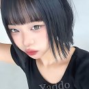 댕댕이 미용실 | 머리 상태 실화냐? 대전 미용실 유목민 탈출 각 잡았다!