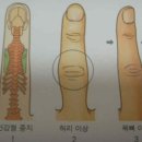 다섯손가락 이미지