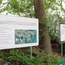 서현 행정사 사무소 이미지