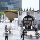 물뿜는 고래 이미지