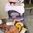 핑고랩