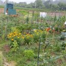 흥덕농장 이미지