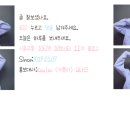 군포교통 500번 8345호 자일대우버스 BS110 NGV (후기형) 2019년 12월