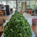 상송호두농원 이미지