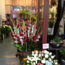 바구니꽃집 이미지