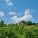 청옥산깨비마을 야영장 이미지