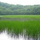 제주 물장오리오름 이미지